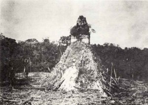 Pirámide de Tikal tras una limpieza de vegetación realizada por Teobert Maler en 1887. Puede apreciarse el resto de la ciudad aún cubierto por la vegetación.